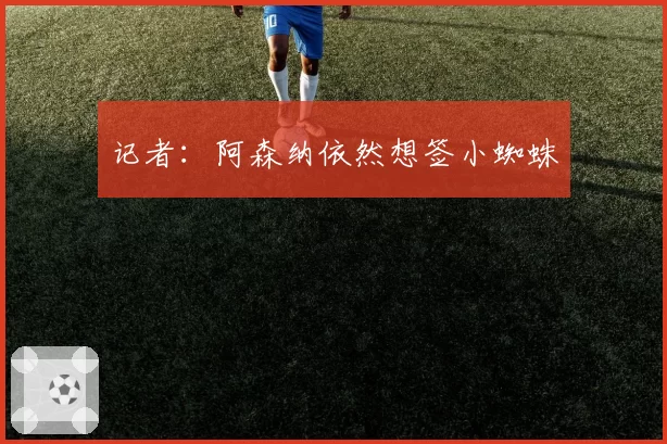 记者：阿森纳依然想签小蜘蛛